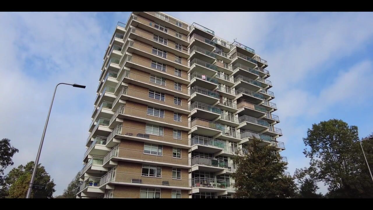 Video of Lupinesingel 106