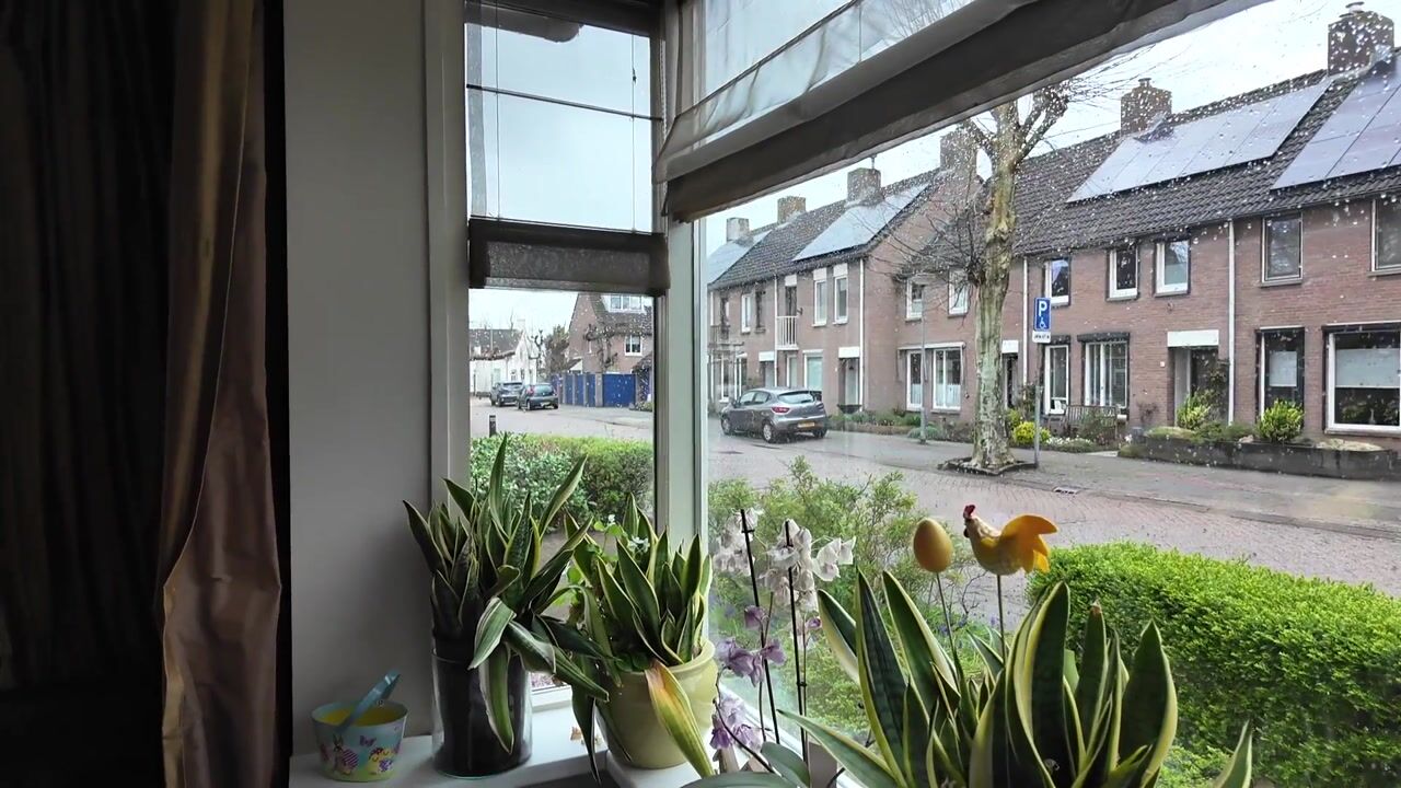 Video van Markstraat 51