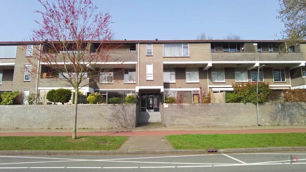 Video of Wethouder van Eschstraat 91