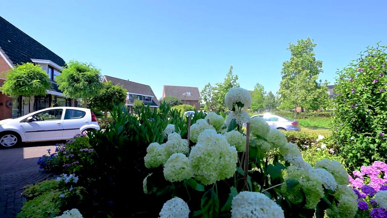 Video van Rietheuvel 23