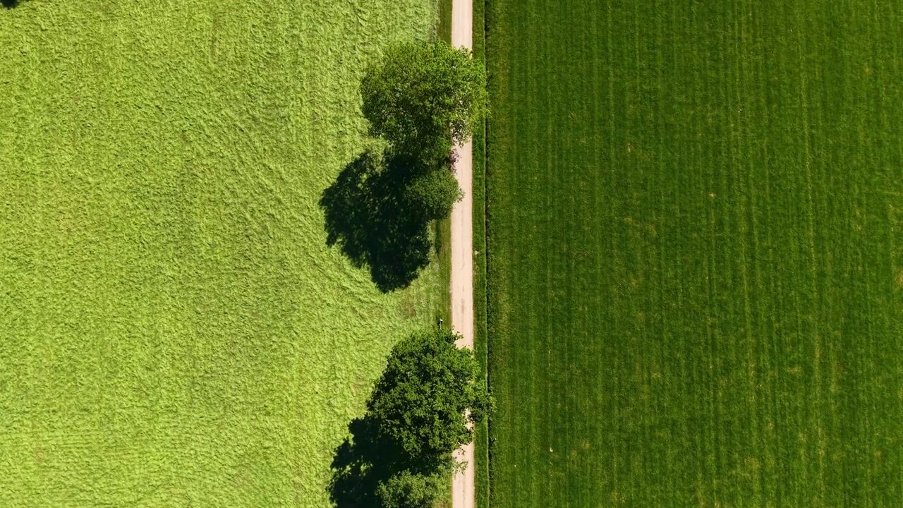 Video van Tongerenseweg-Zuid 157