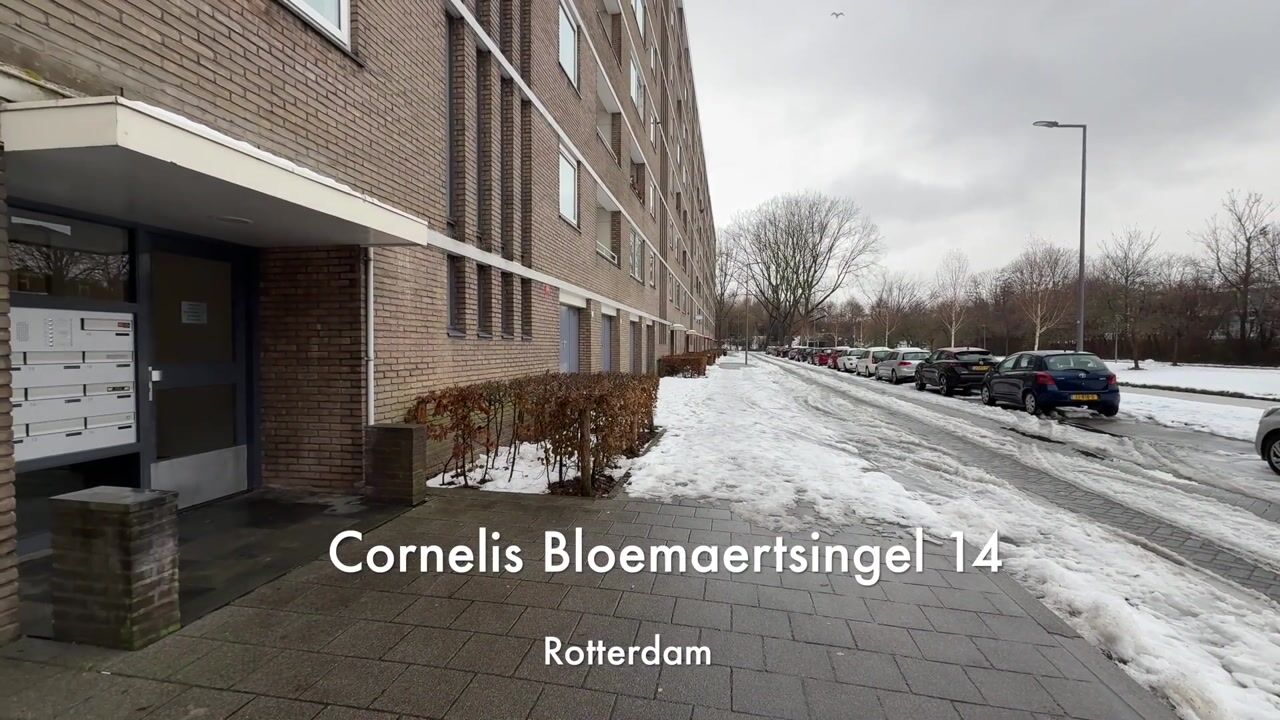 Video van Cornelis Bloemaertsingel 14