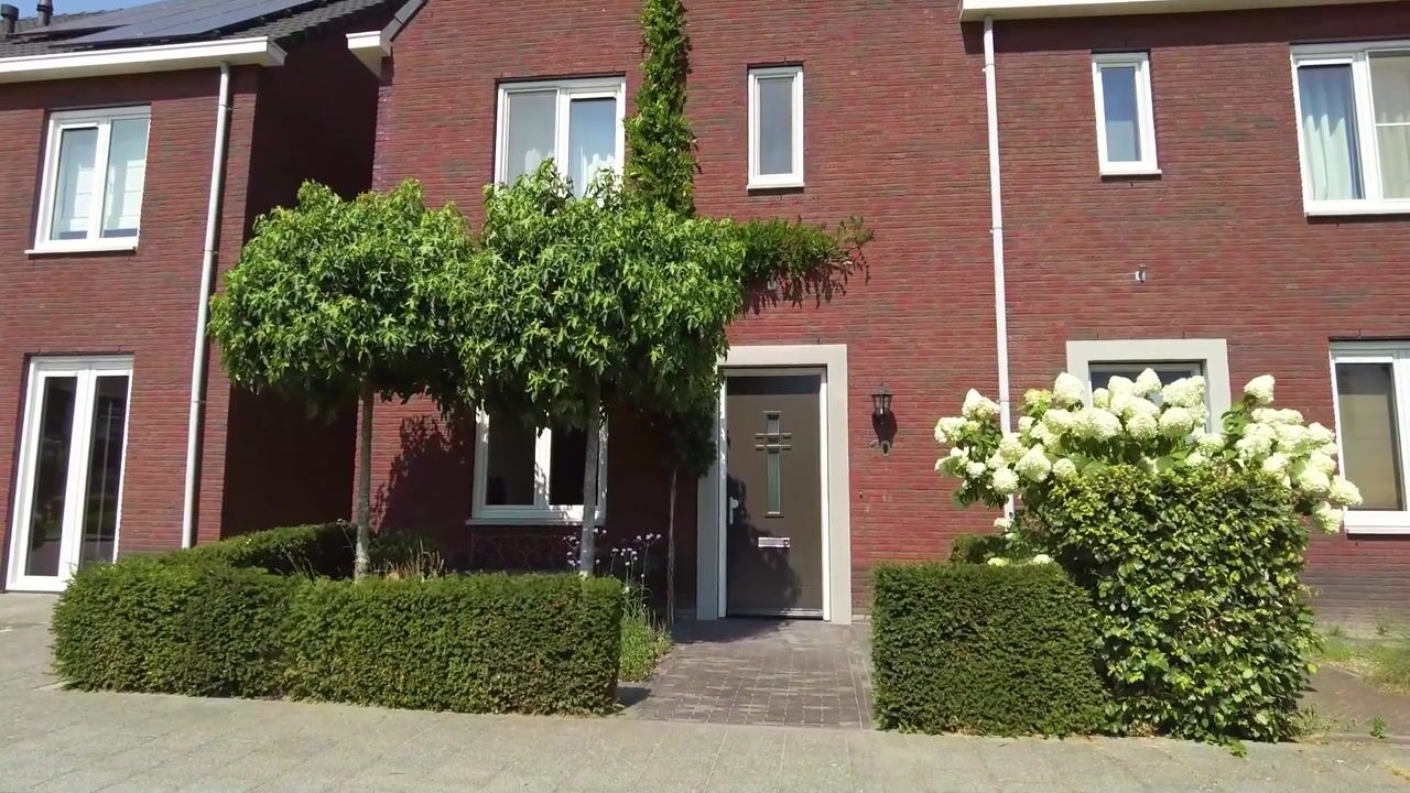 Video van Korenbloem 10