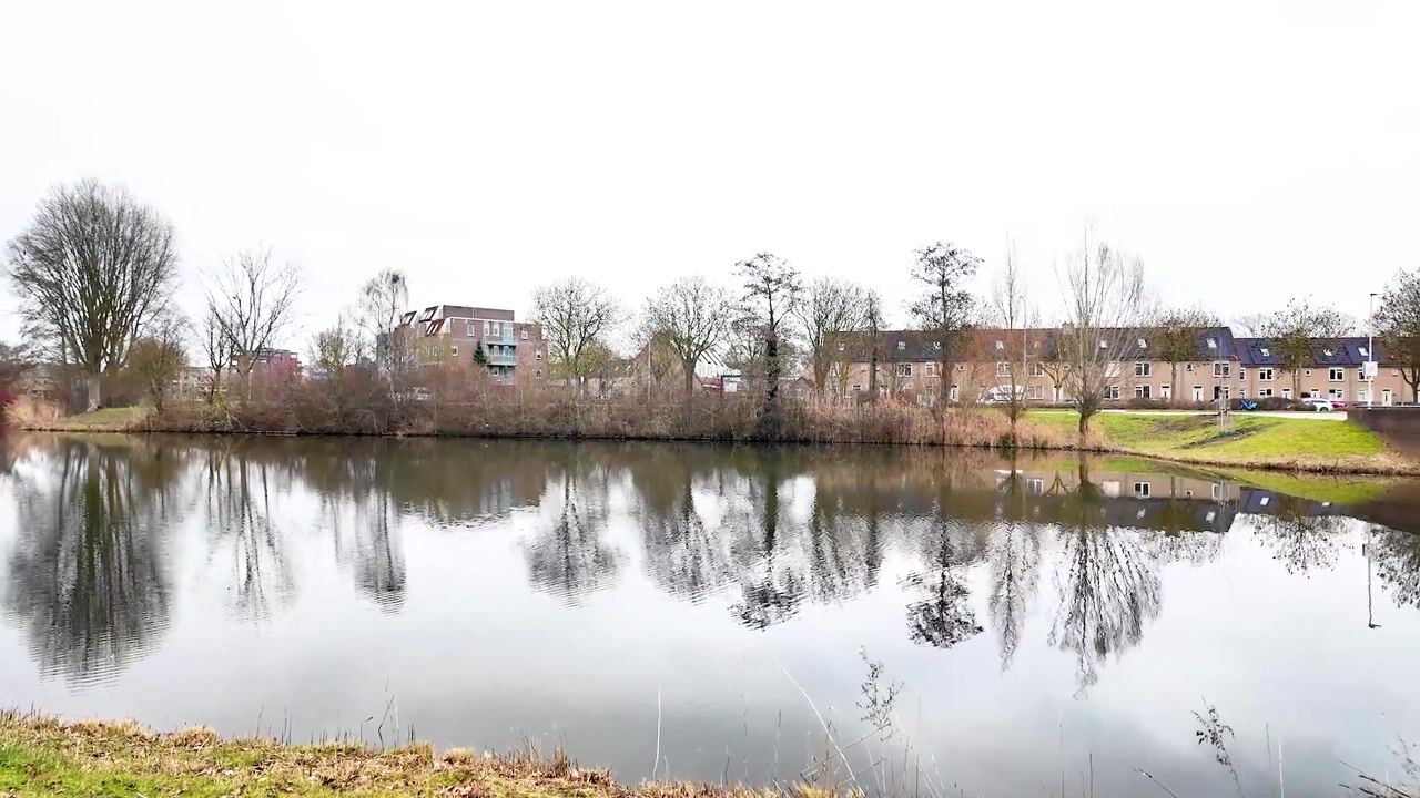 Video van Holtgesbroek 1103