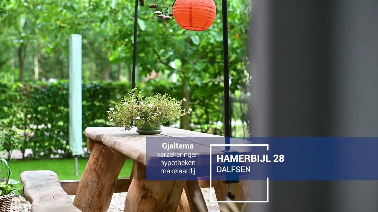 Video van Hamerbijl 28