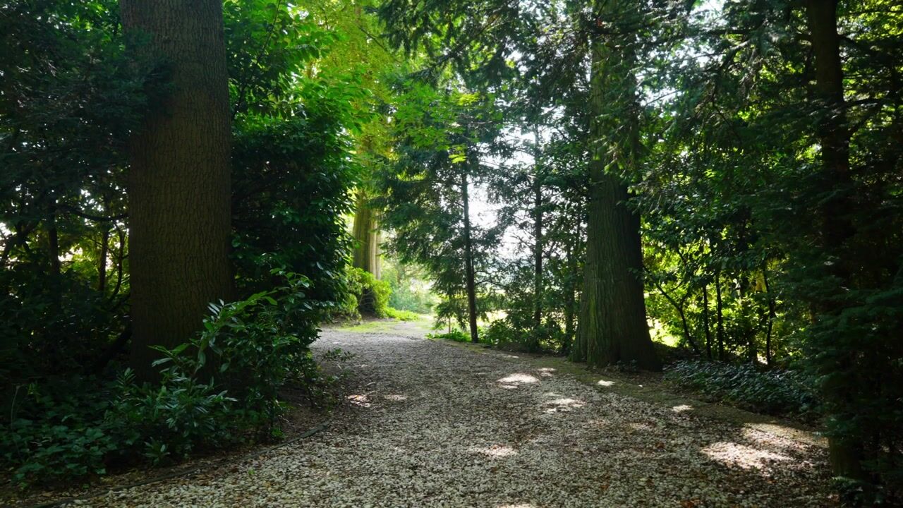 Video of Schelmseweg 101
