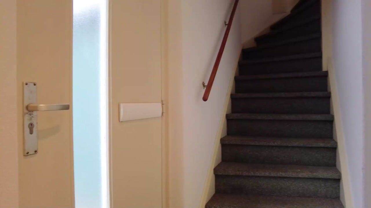 Video van Meeuwenlaan 13