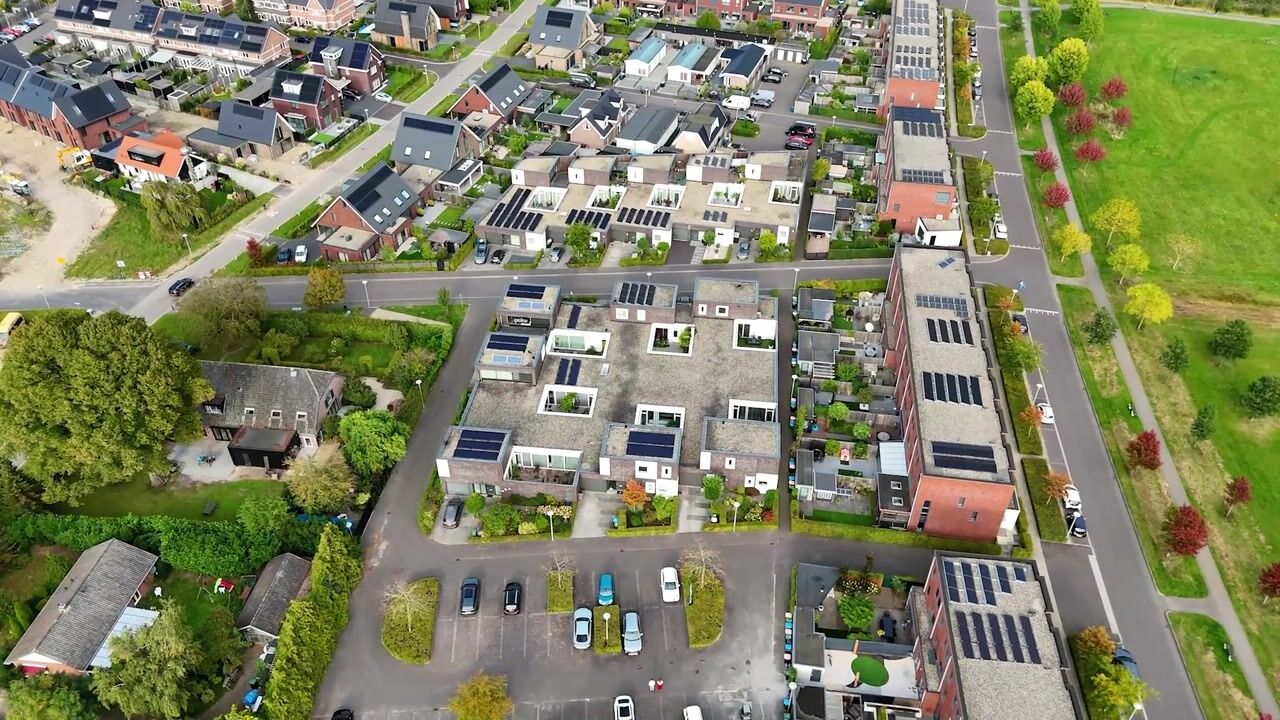 Video van Citroenvlinder 13