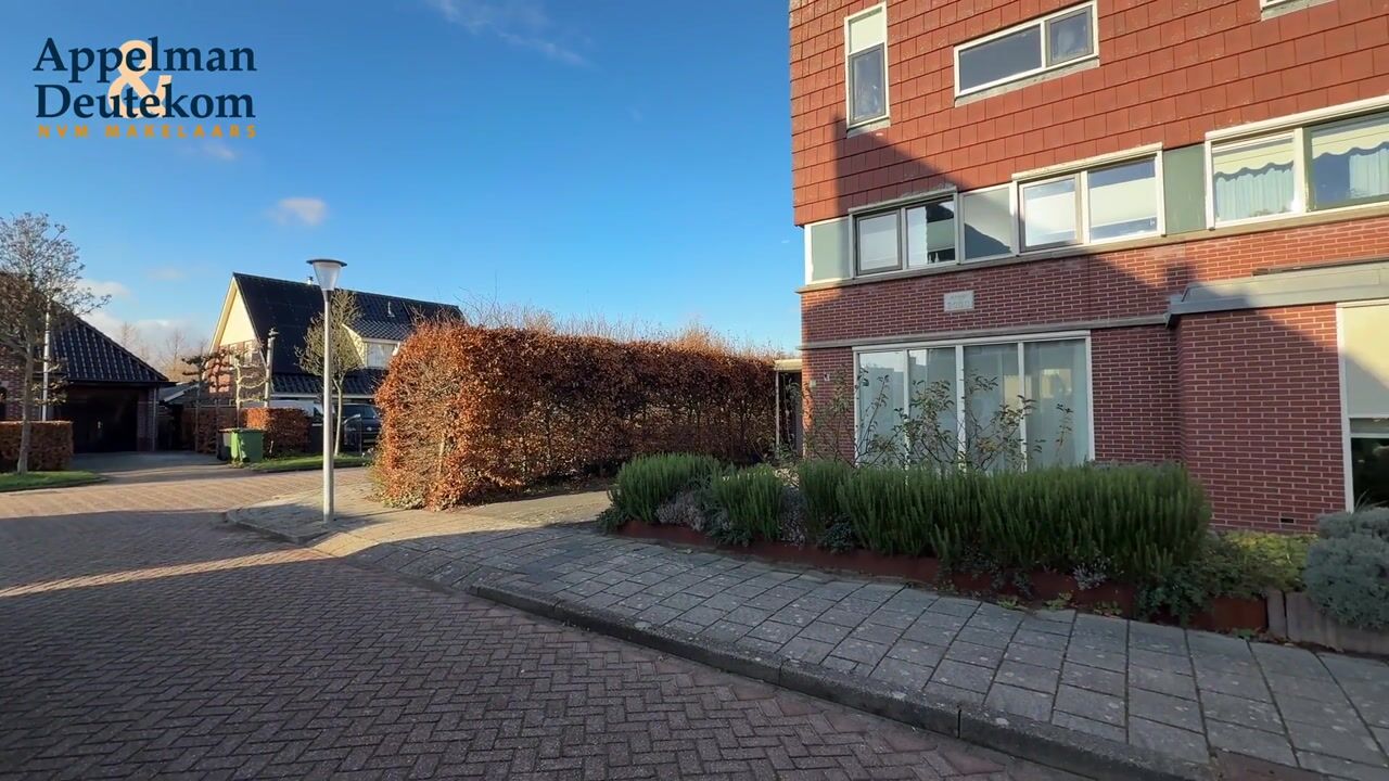 Video van Dorsvlegel 36