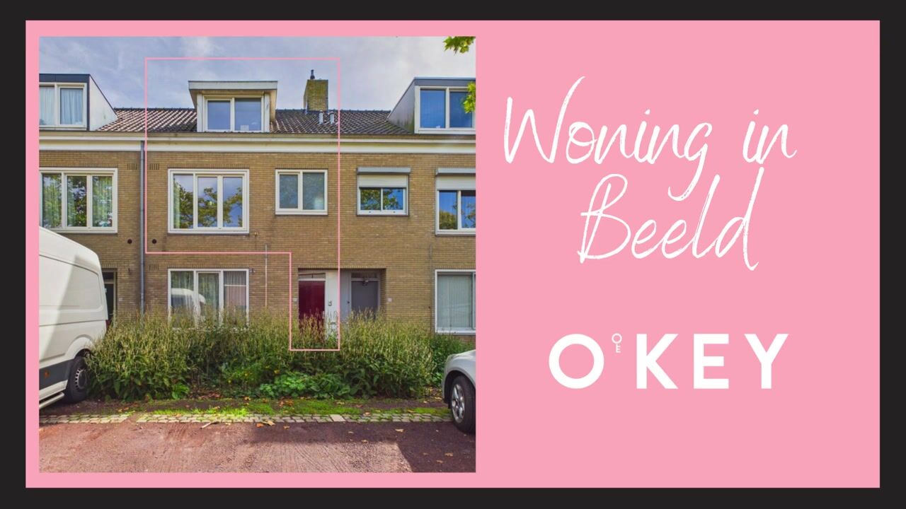 Video van Klein Vlaanderen 61