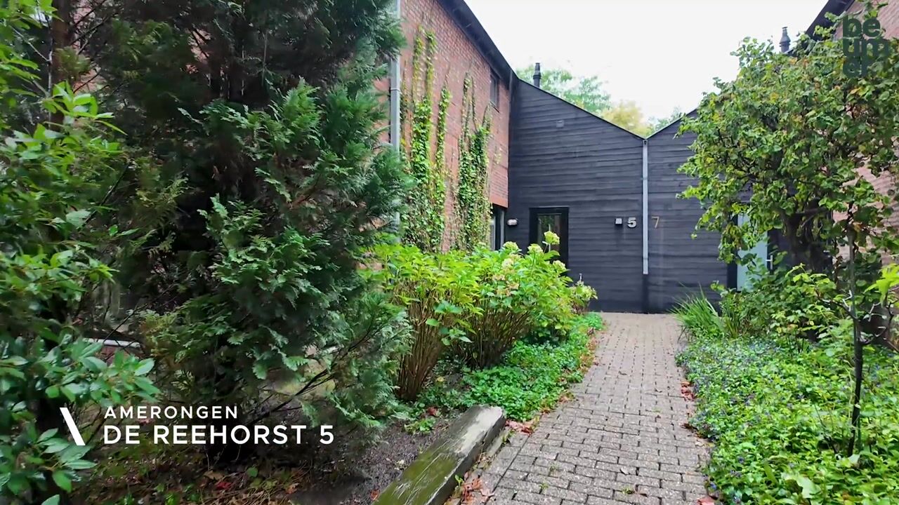 Video of de Reehorst 5