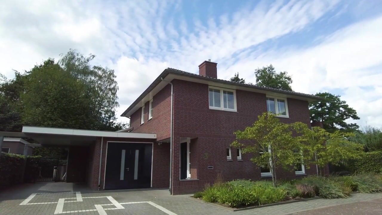 Video van Vlaamse Gaai 3