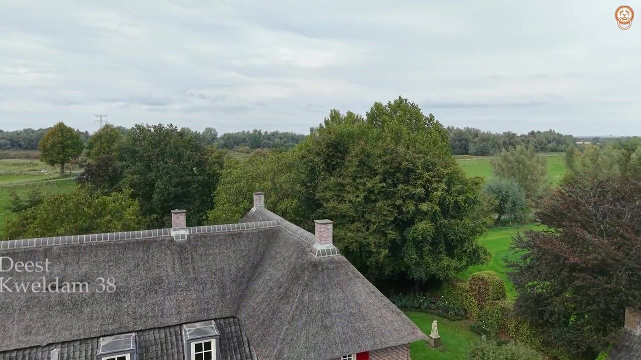 Video van Kweldam 38