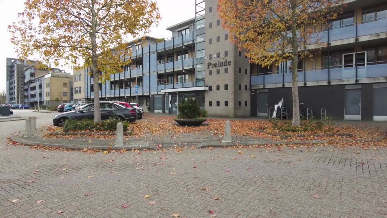 Video of Lehárstraat 50