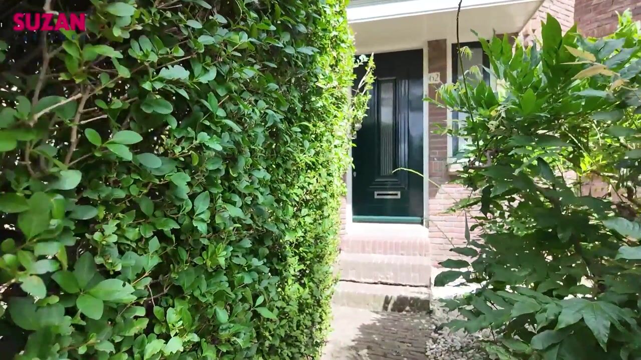 Video of Zaalbergstraat 62