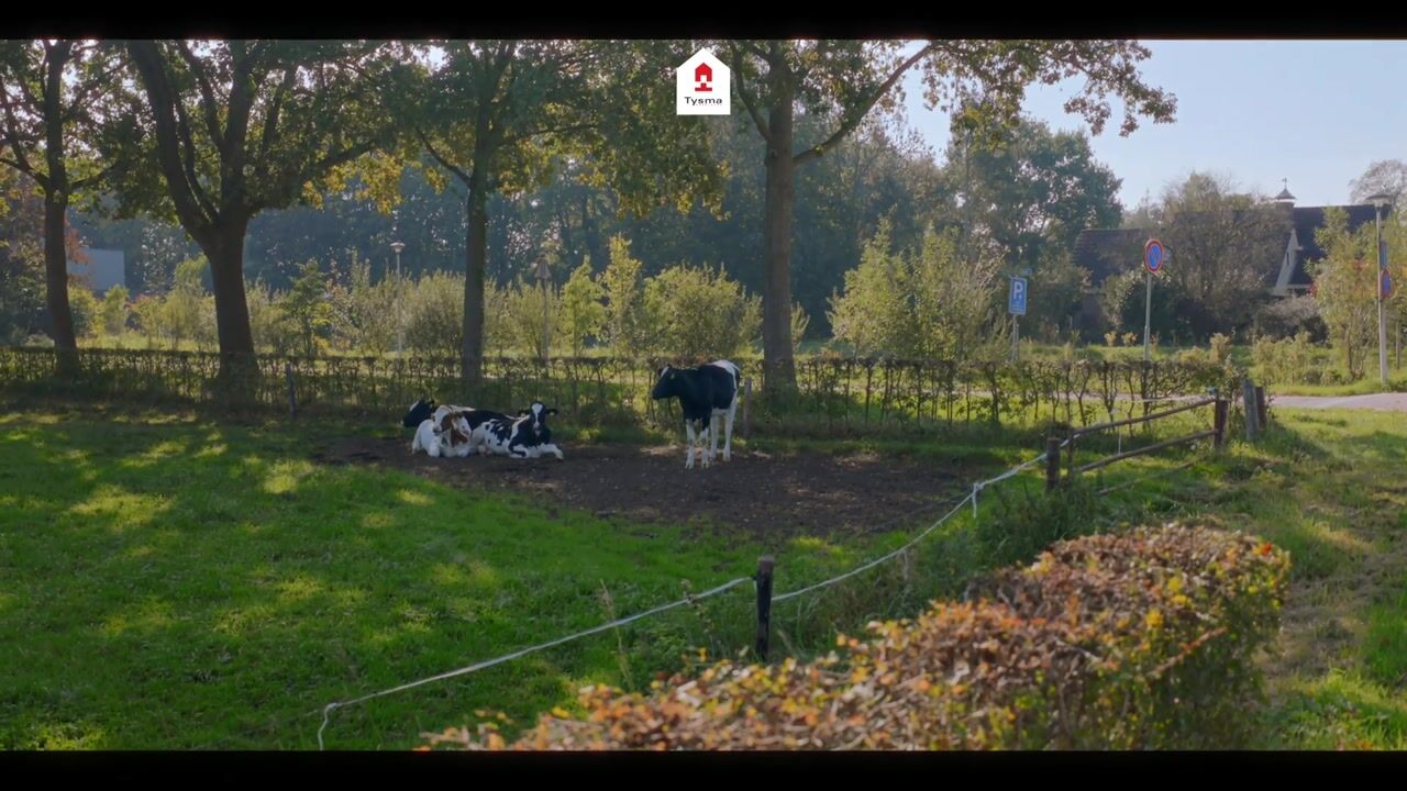 Video van Kleistraat 1