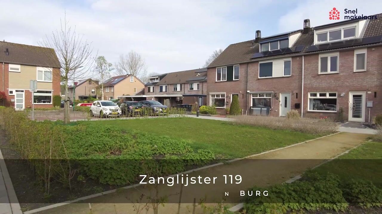 Video of Zanglijster 119