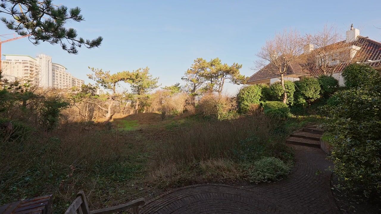 Video van Erasmusweg 12