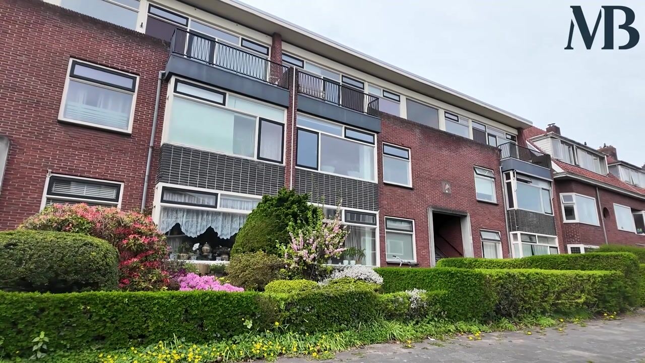 Video van Rijnstraat 41