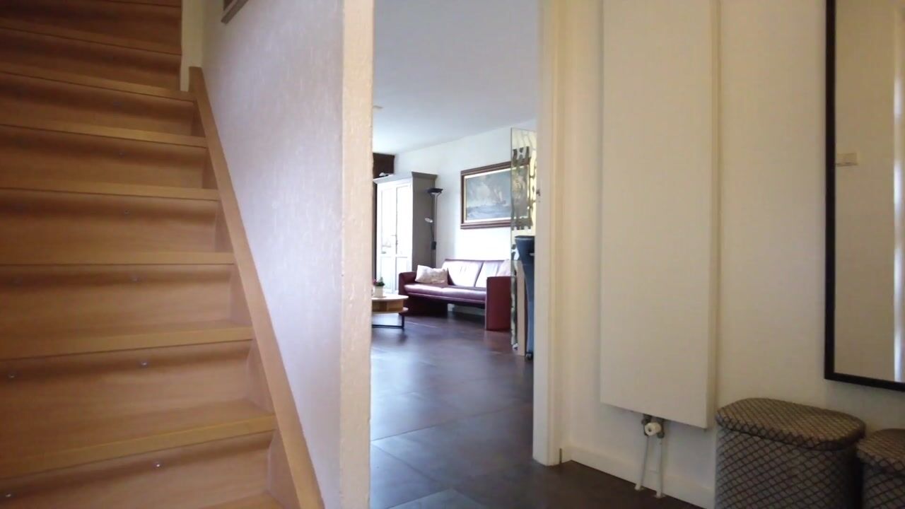 Video of Heemraad 41