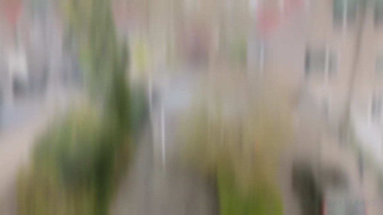 Video van Groote Peel 44