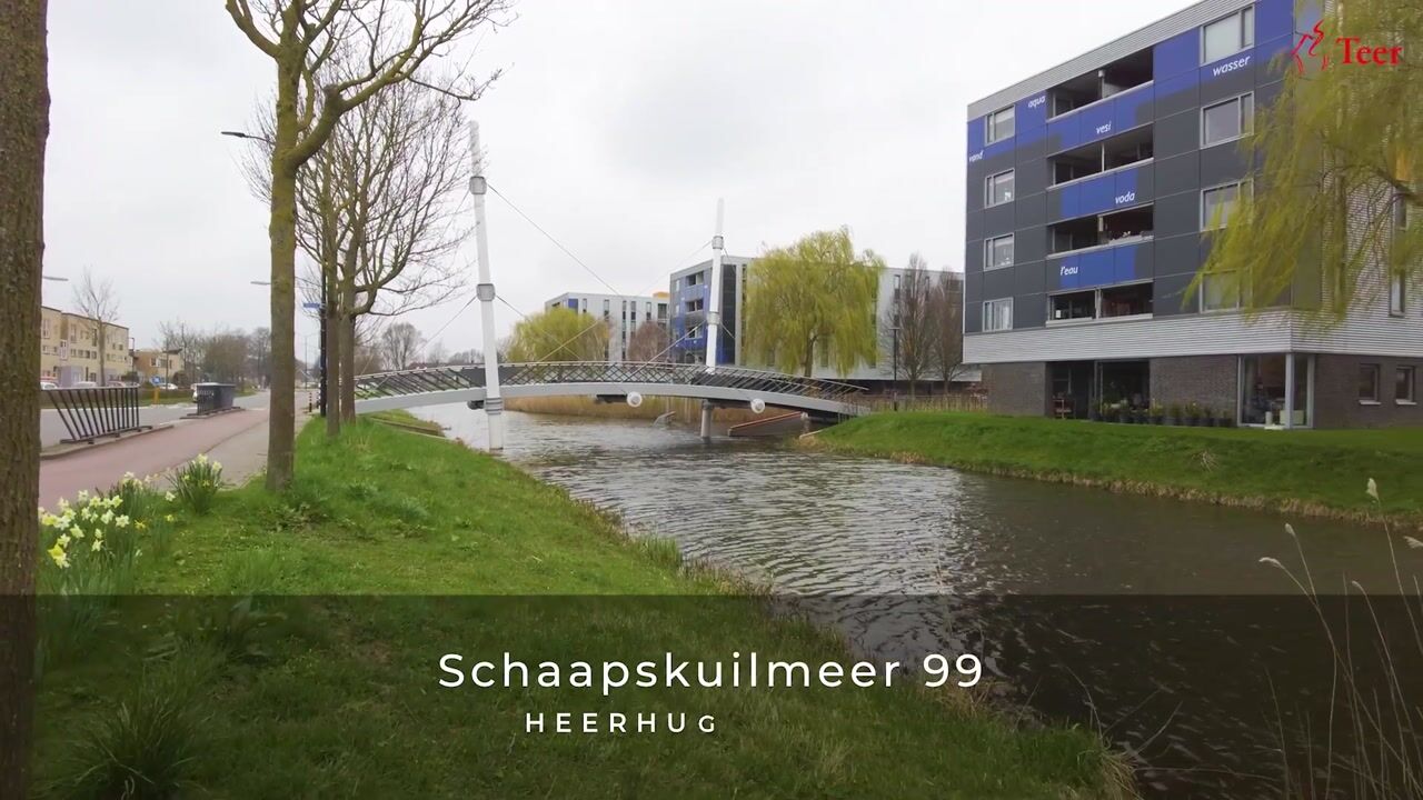 Video of Schaapskuilmeer 99