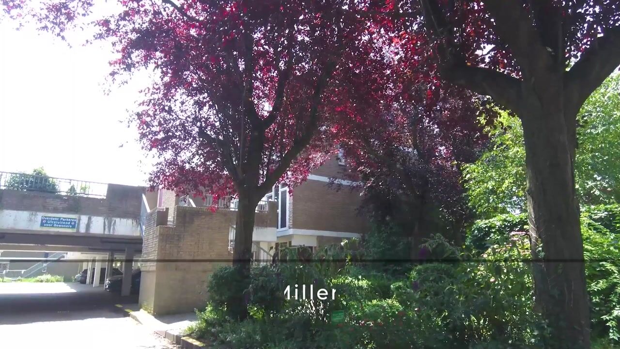 Video van Glenn Millerrode 17