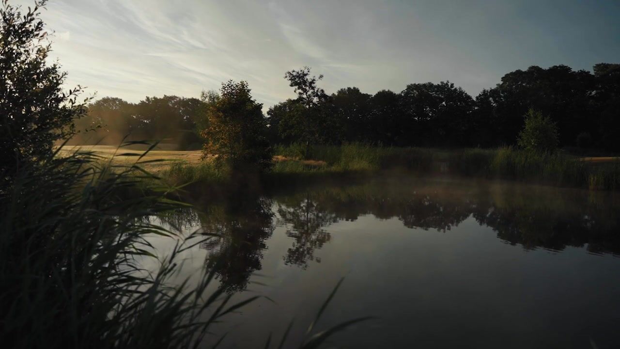 Video of Salesdreef 7-WN53