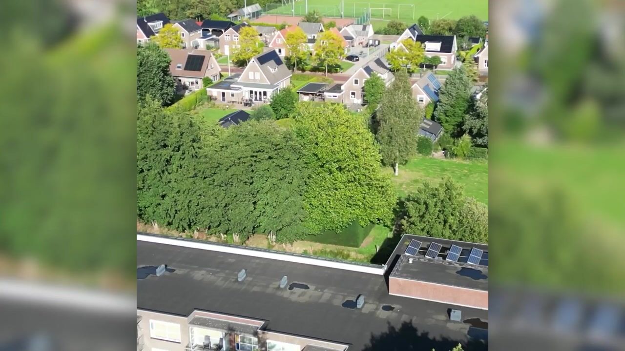 Video van Bosschawei 50
