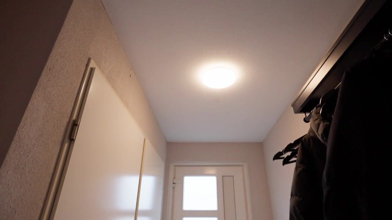 Video van Koolzaadhof 7