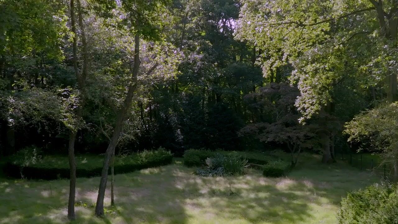 Video van Schouwweg 65-A