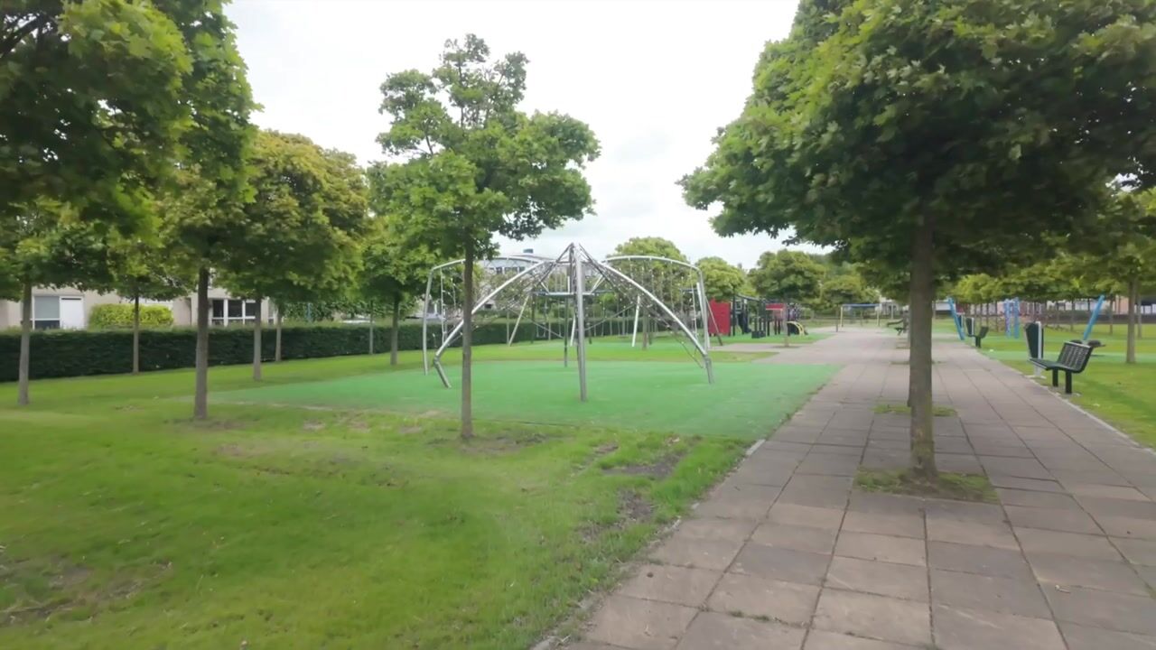 Video van Mien Ruyspark 54