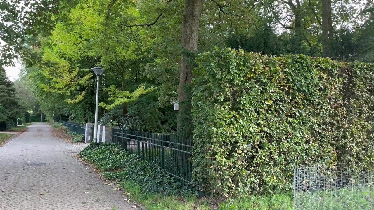 Video of Geeneind