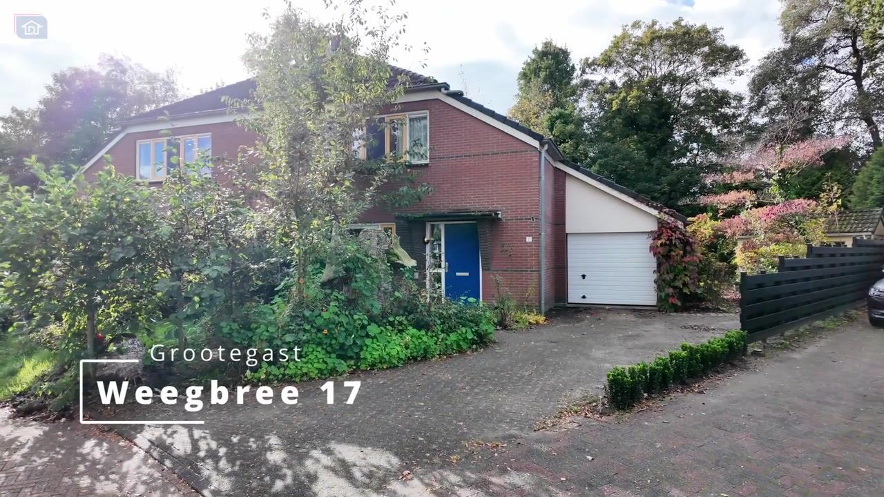 Video of Weegbree 17