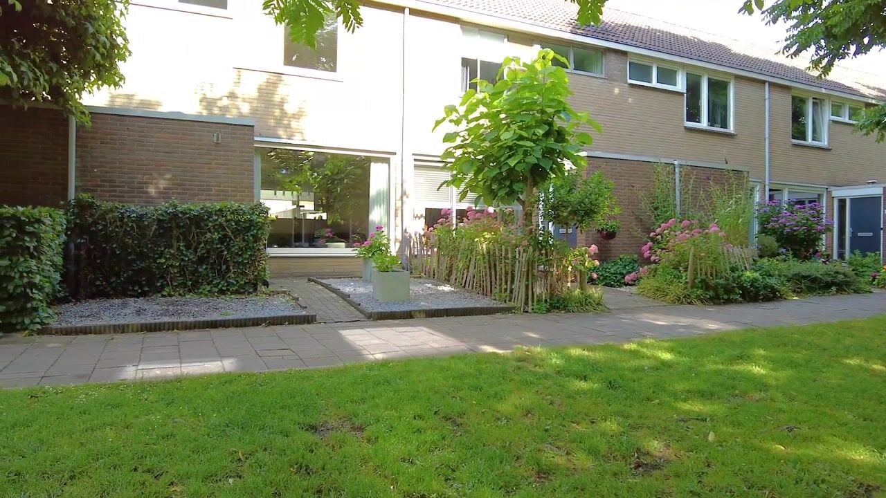 Video van Zandgors 53