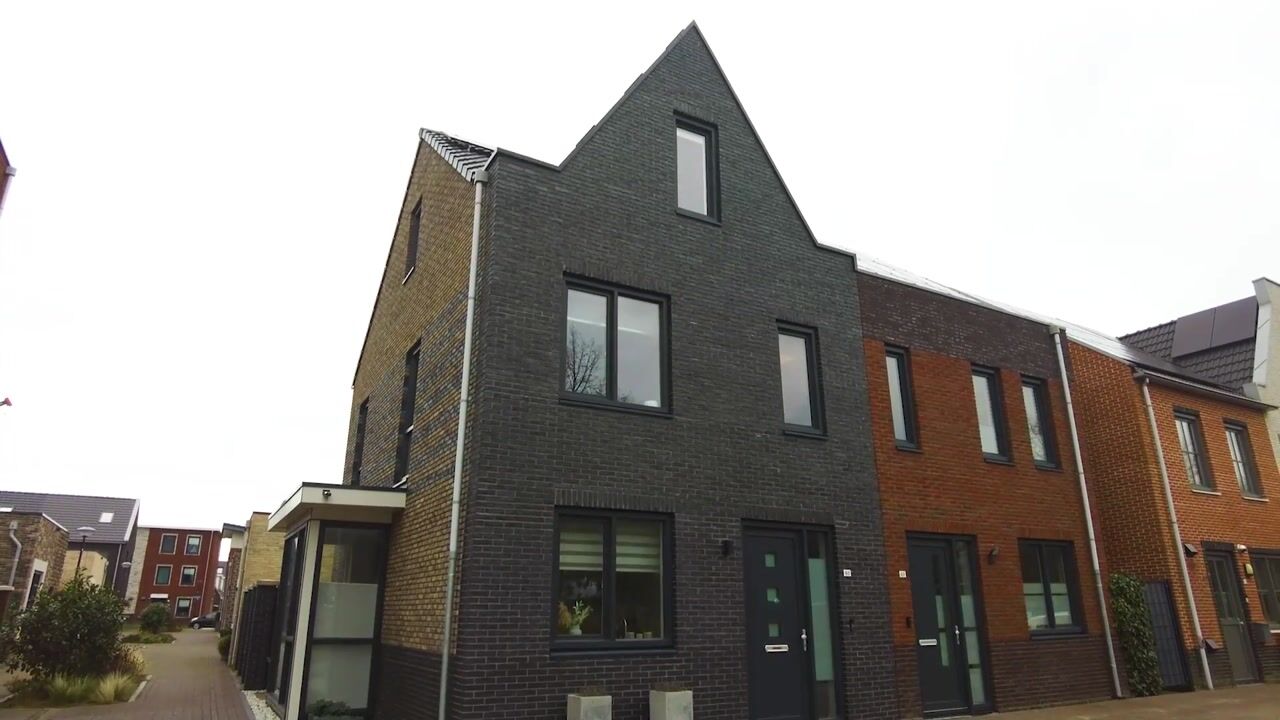 Video van Hollandse linde 60-B