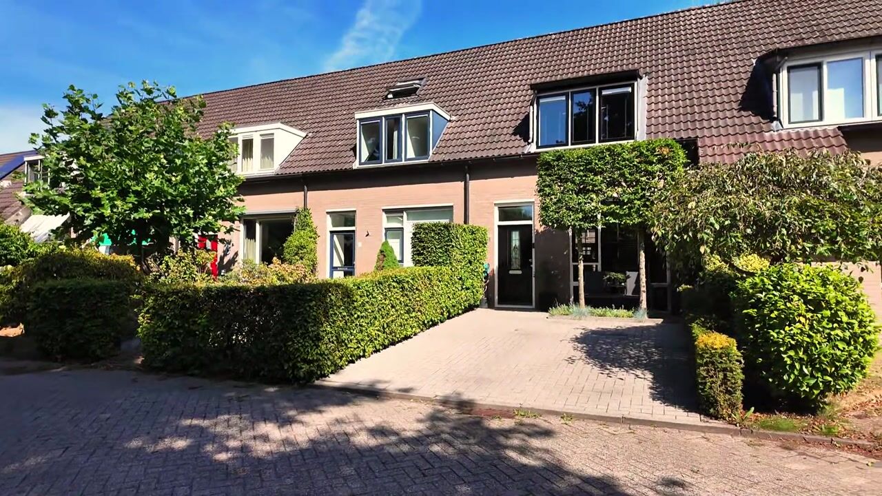 Video van Pinksterbloem 4