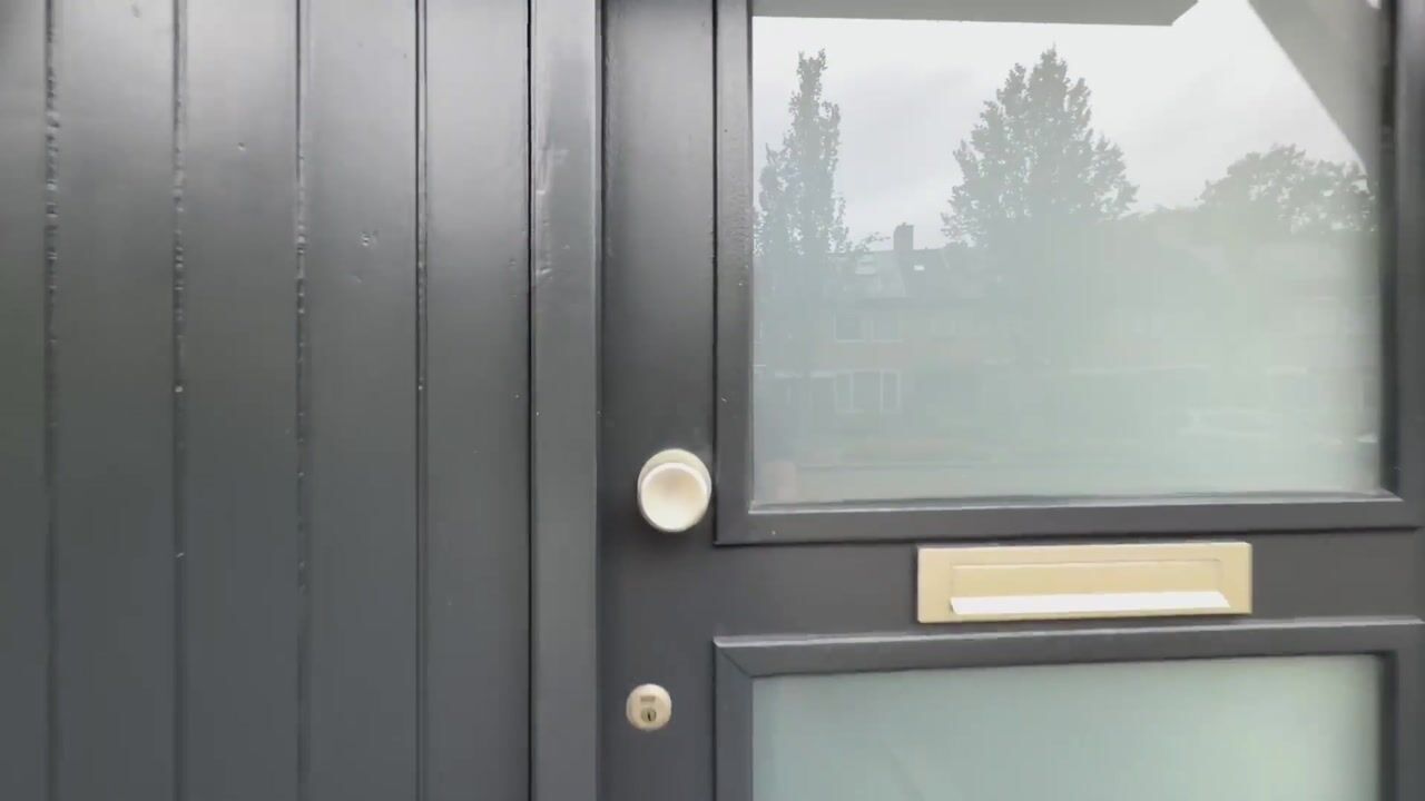 Video of Noordzoom 14