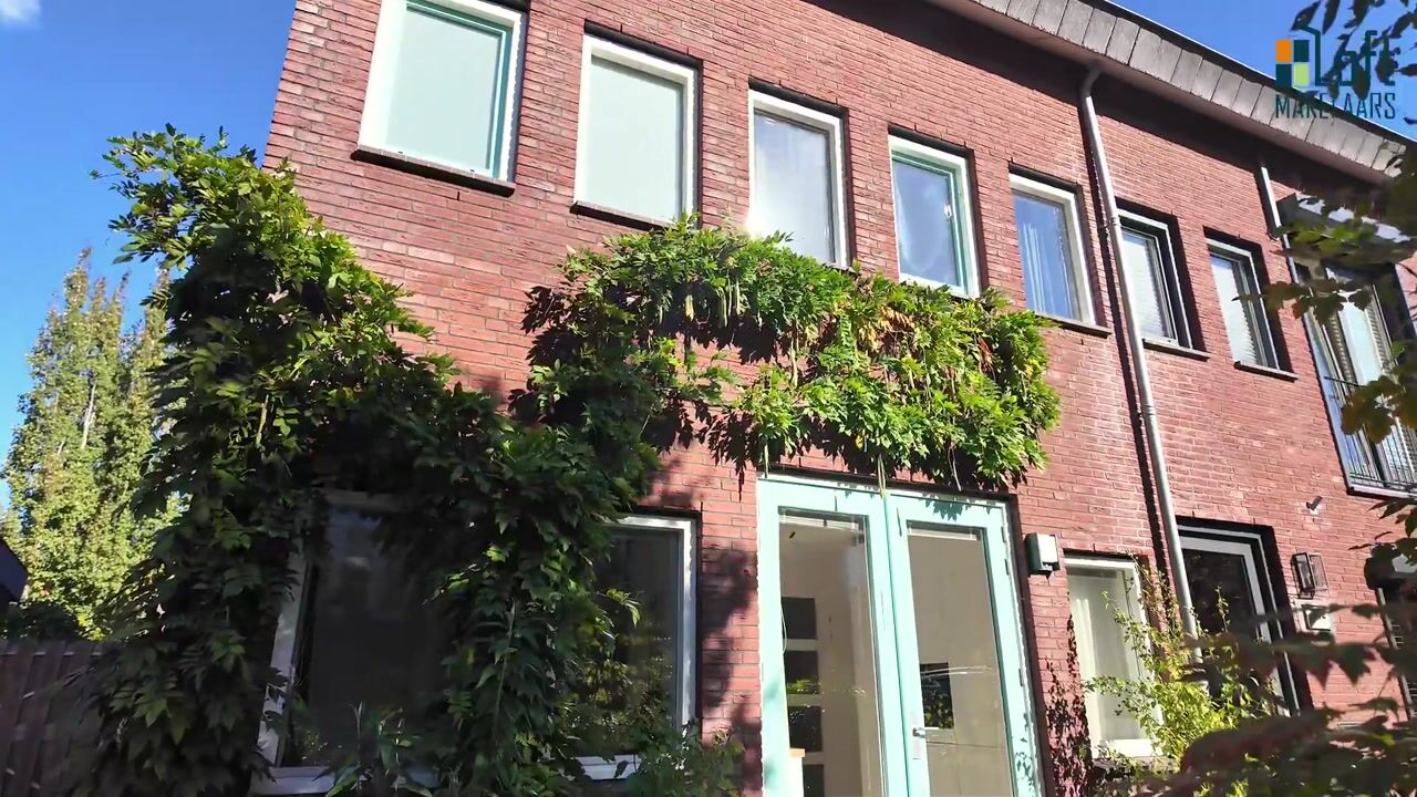 Video of Zenegroen 54