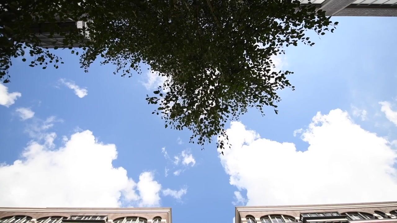 Video of Oostelijke Handelskade 905