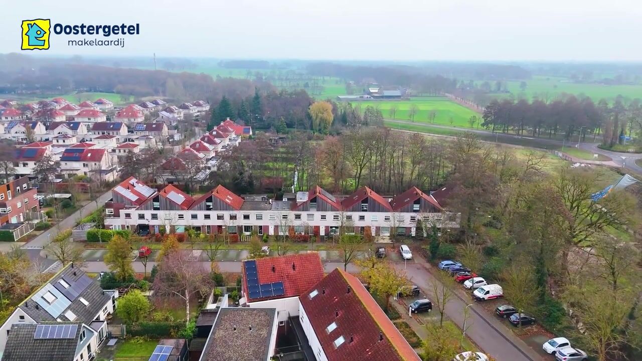 Video of Citroenvlinder 159