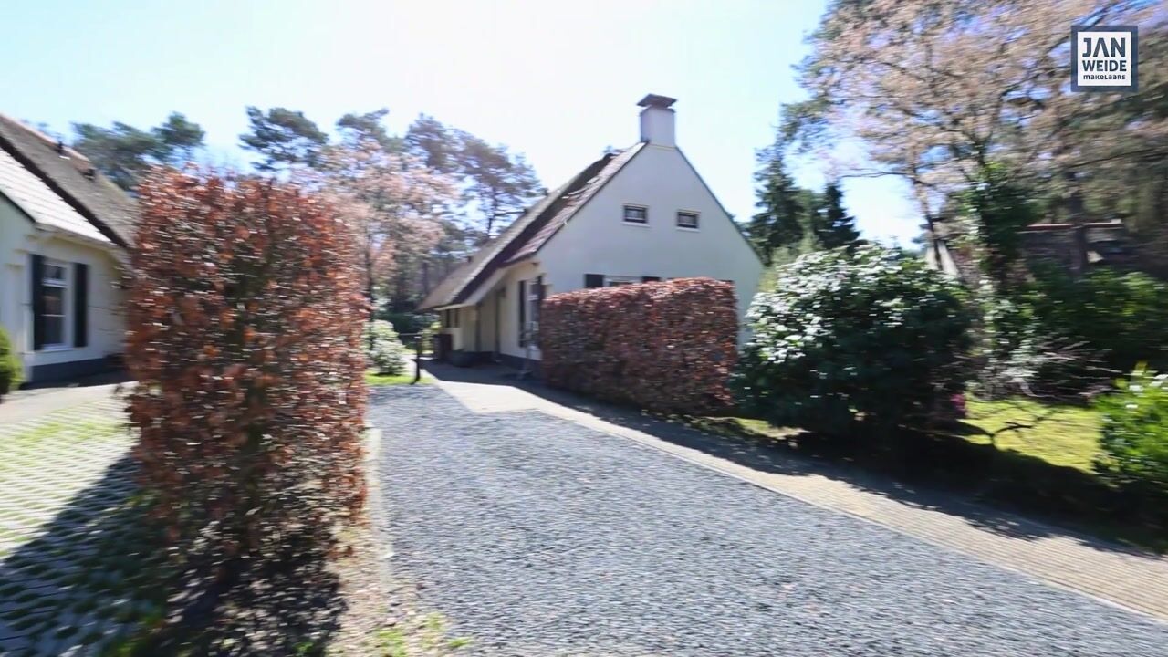 Video of De Witte Bergen 80