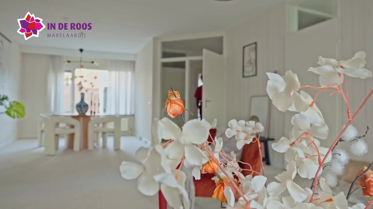 Video van Dravietdijk 24