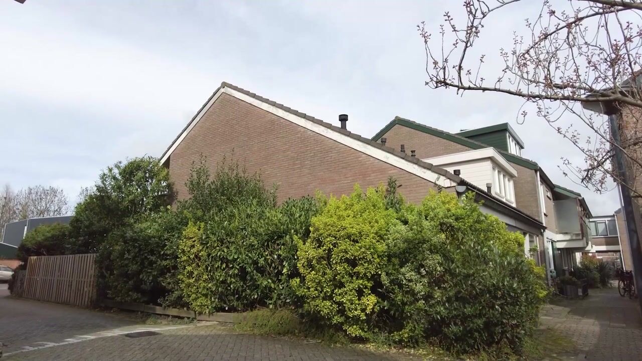 Video van Lauwerbes 2