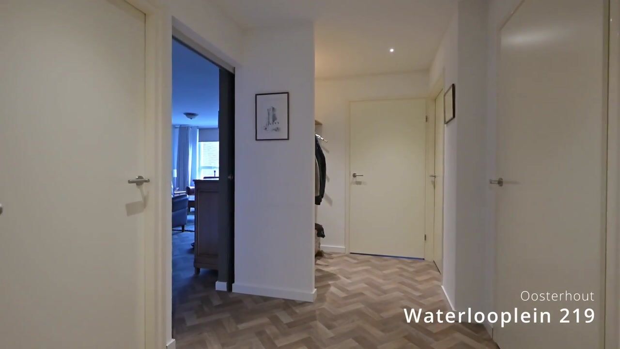Video of Waterlooplein 219