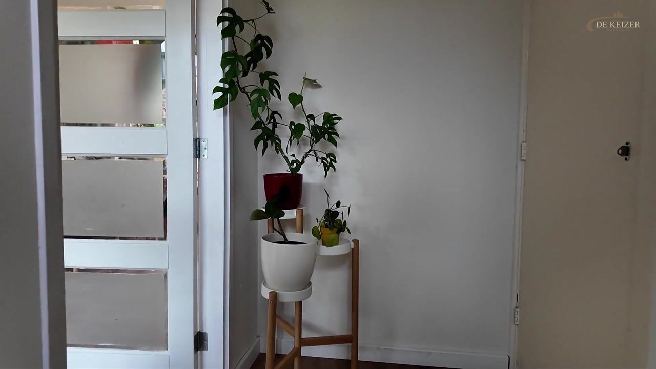 Video van Maniladreef 14