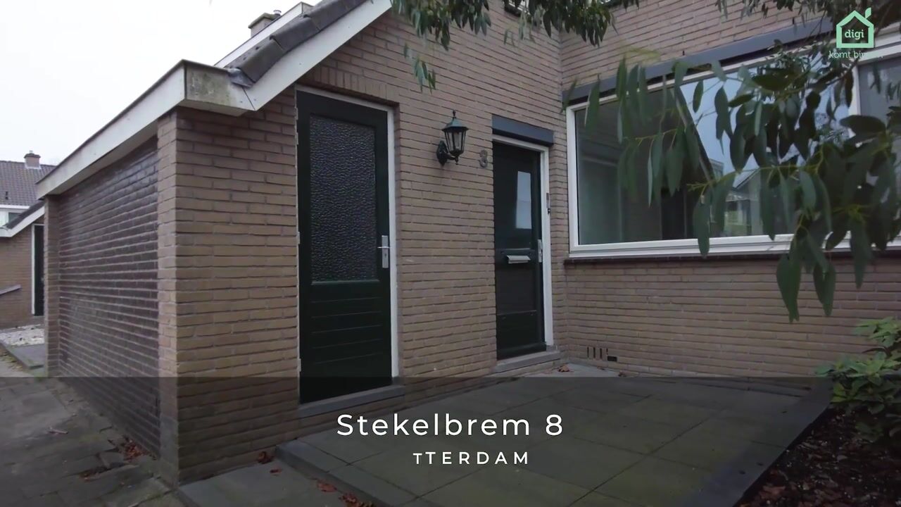Video van Stekelbrem 8