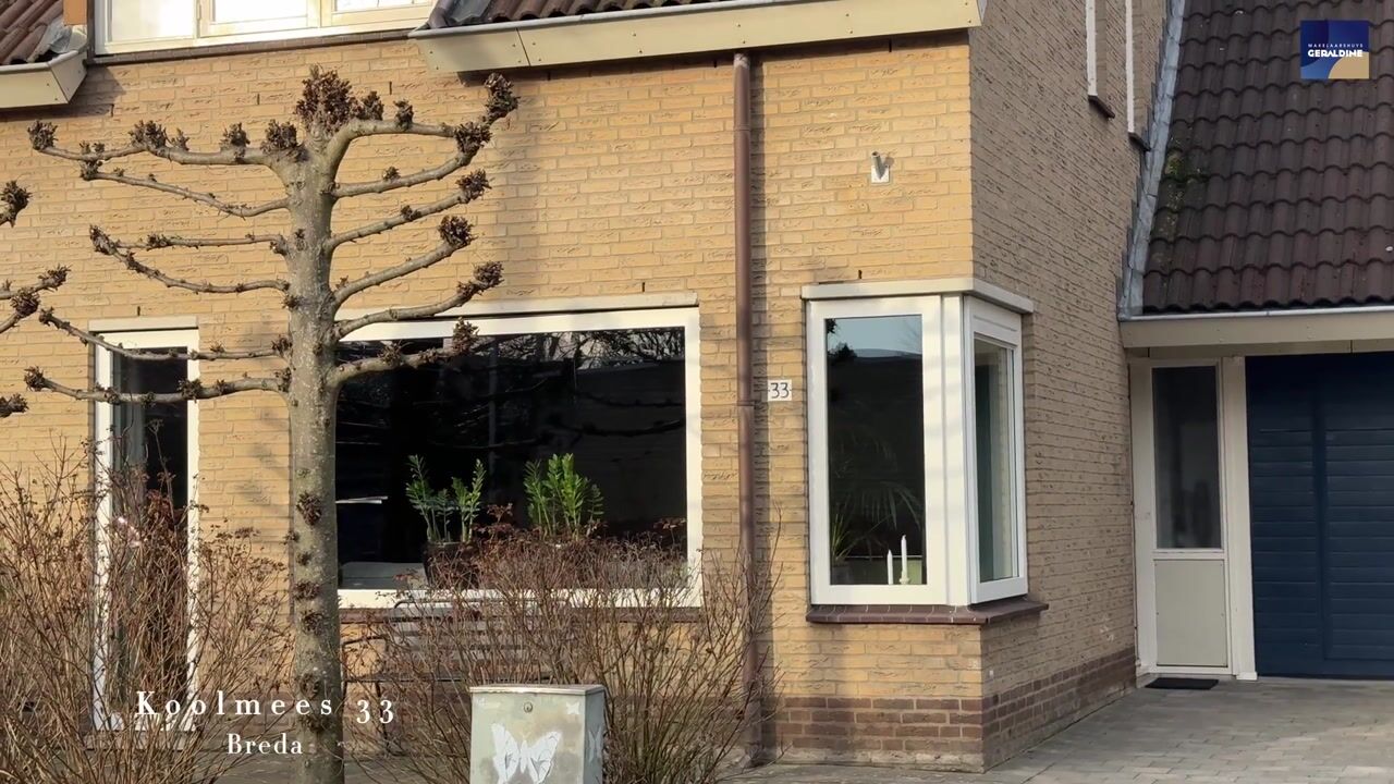 Video van Koolmees 33