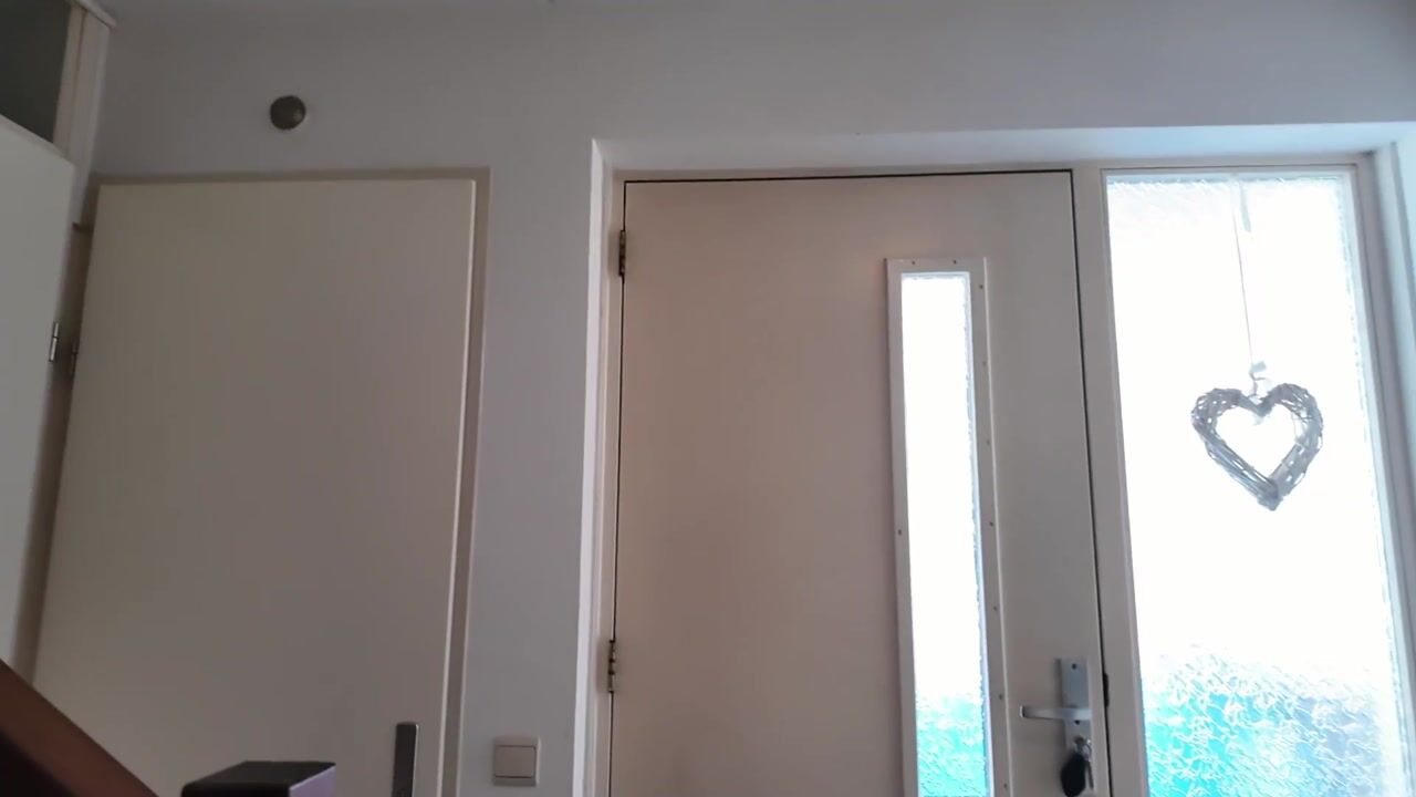 Video van Tabaksweg 51