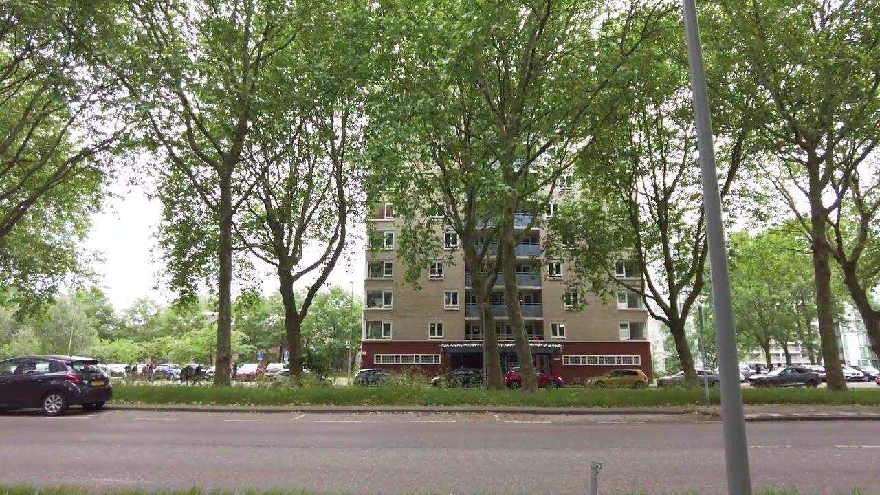 Video van Prinsenlaan 238
